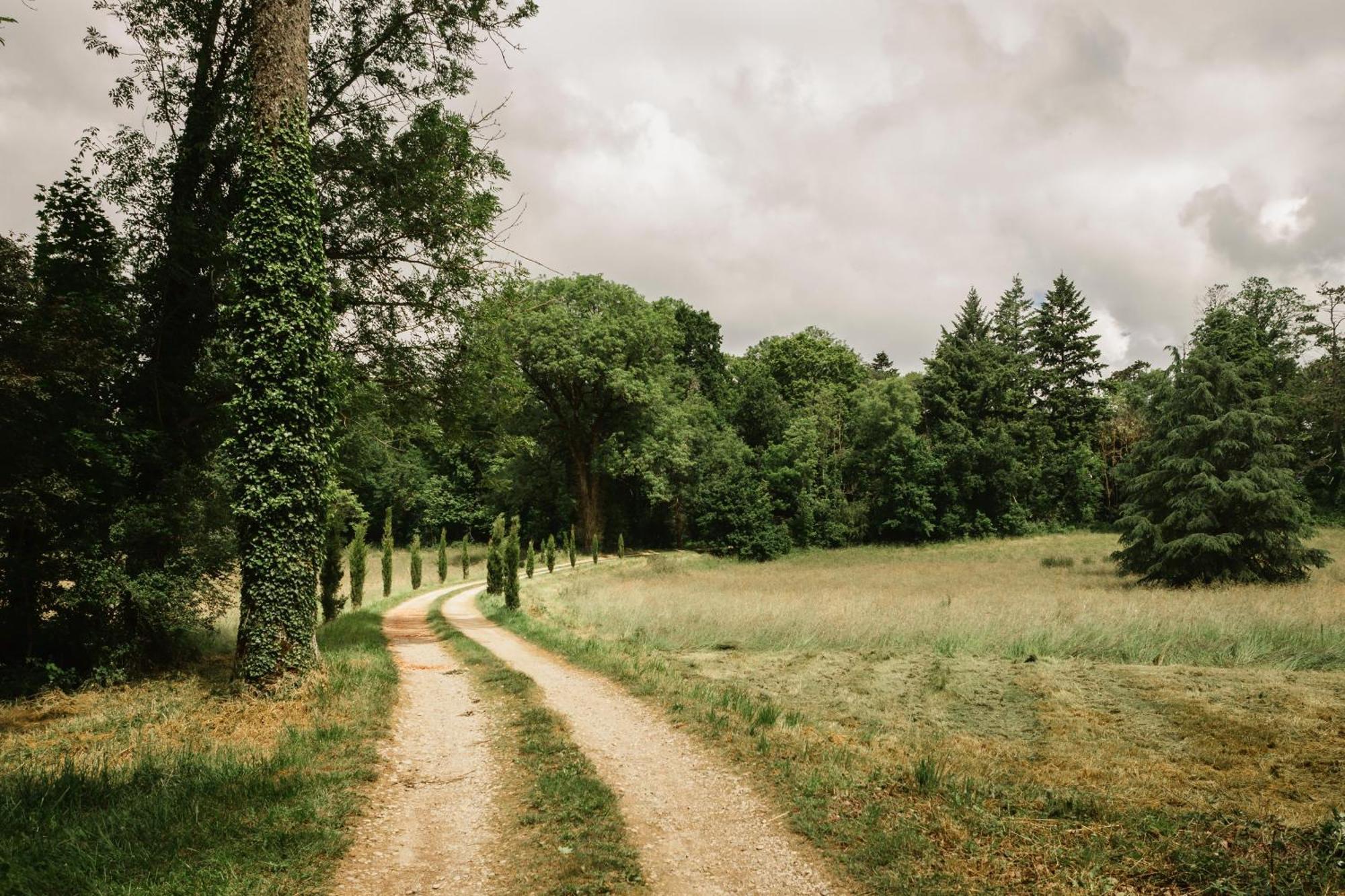 Chateau Du Montellier Le Montellier Zewnętrze zdjęcie